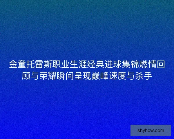 金童托雷斯职业生涯经典进球集锦燃情回顾与荣耀瞬间呈现巅峰速度与杀手
